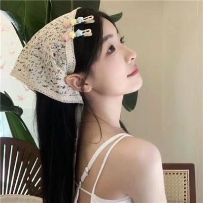美洲狮公司